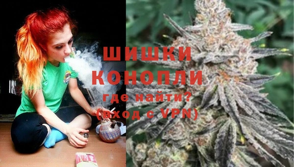 круглые Белокуриха