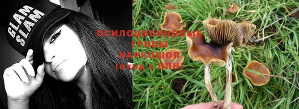 круглые Белокуриха