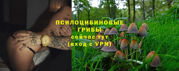 круглые Белокуриха
