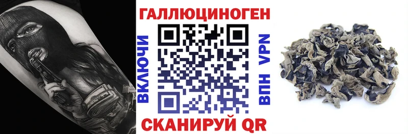 Псилоцибиновые грибы GOLDEN TEACHER hydra сайт Ворсма